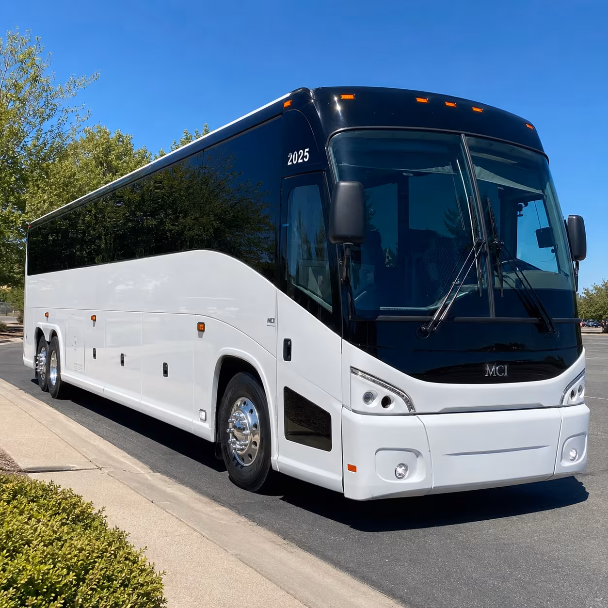 youth group trips to silverwood and schweitzer made easy